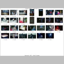 Contact_Sheet_-_1999-07.jpg